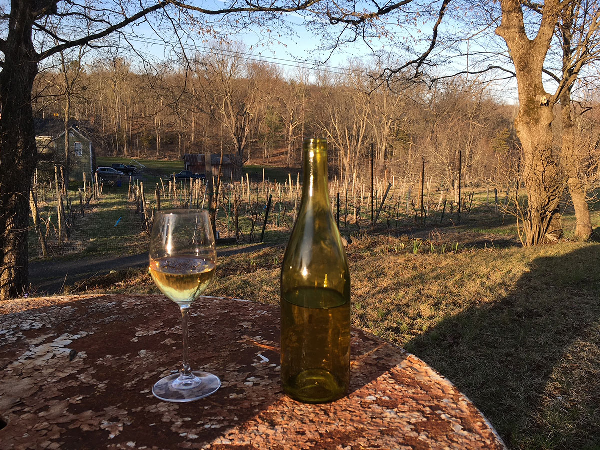 Bottle at vineyard