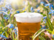Spring beer in the Hudson Valley