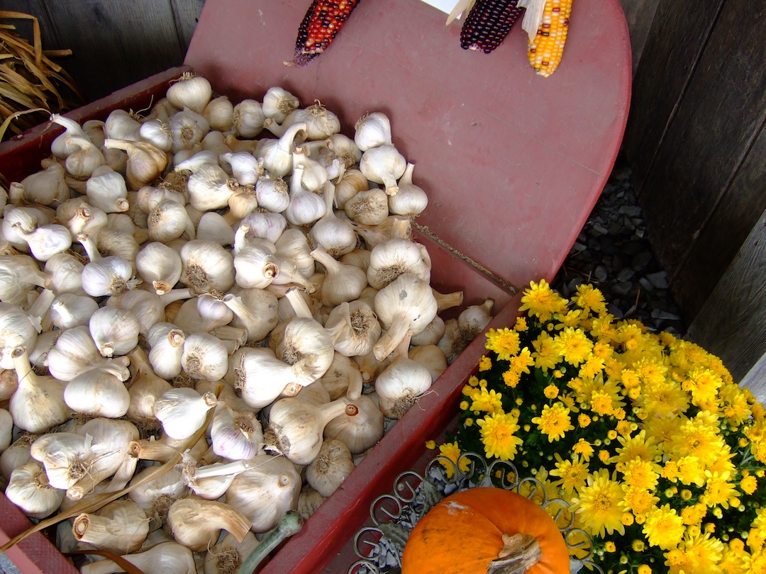 Garlic Valley Table