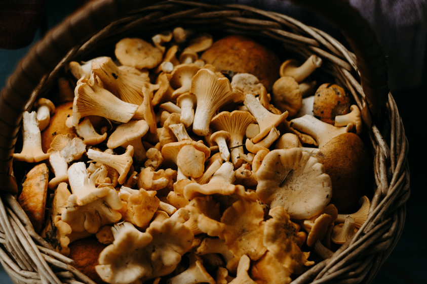 Mushroom good valley table