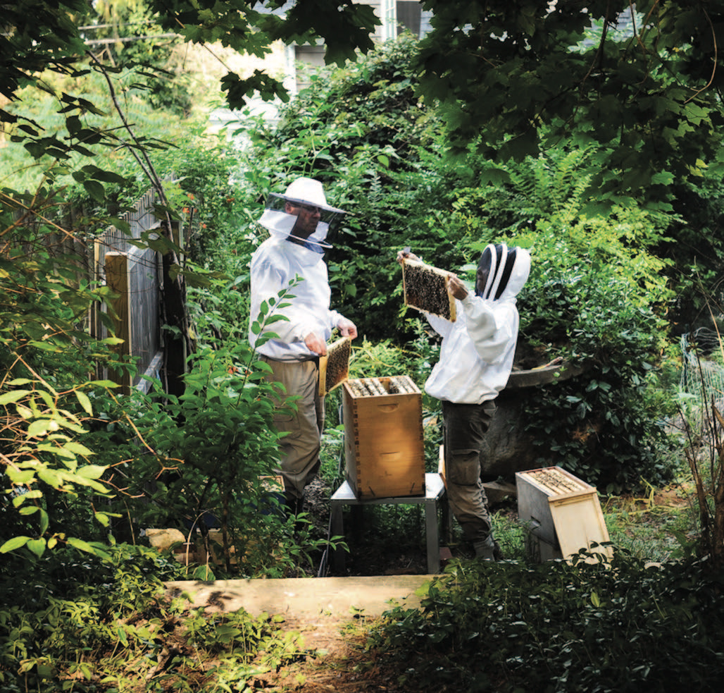 Big Branch Apiary