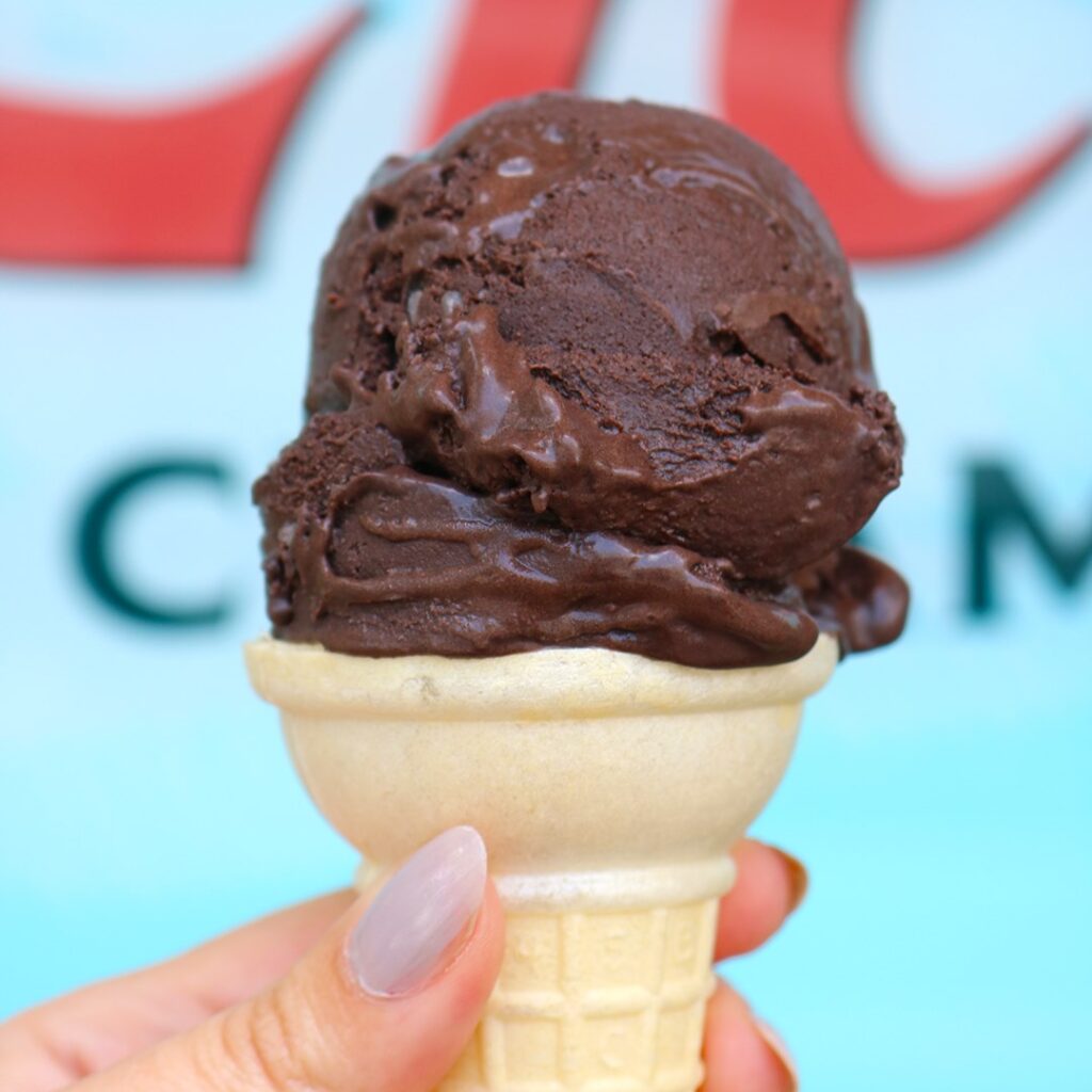 270355814 5500689009947579 494898061097639628 n 1 1024x1024