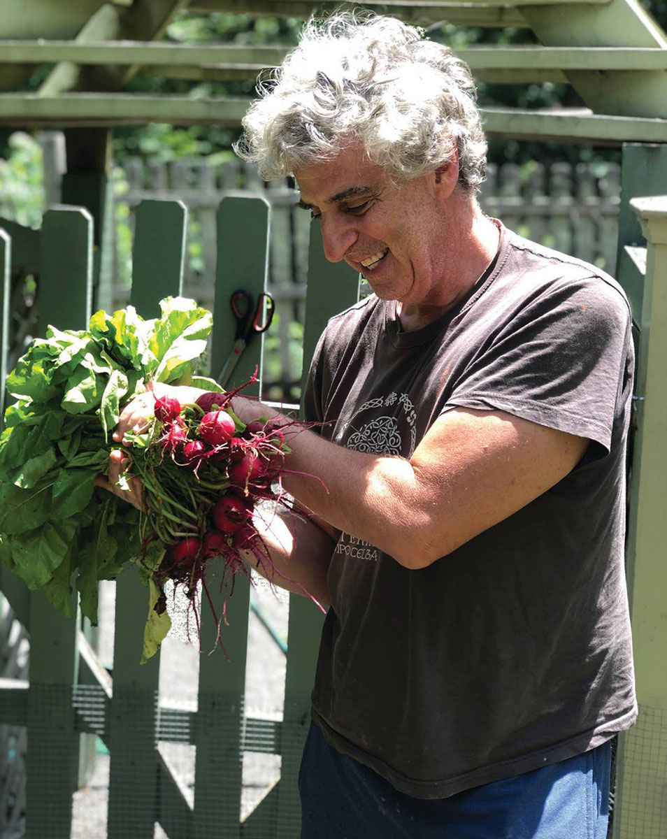 Veggie Gardening 101: How to Grow Your Own in the Hudson Valley - Valley  Table