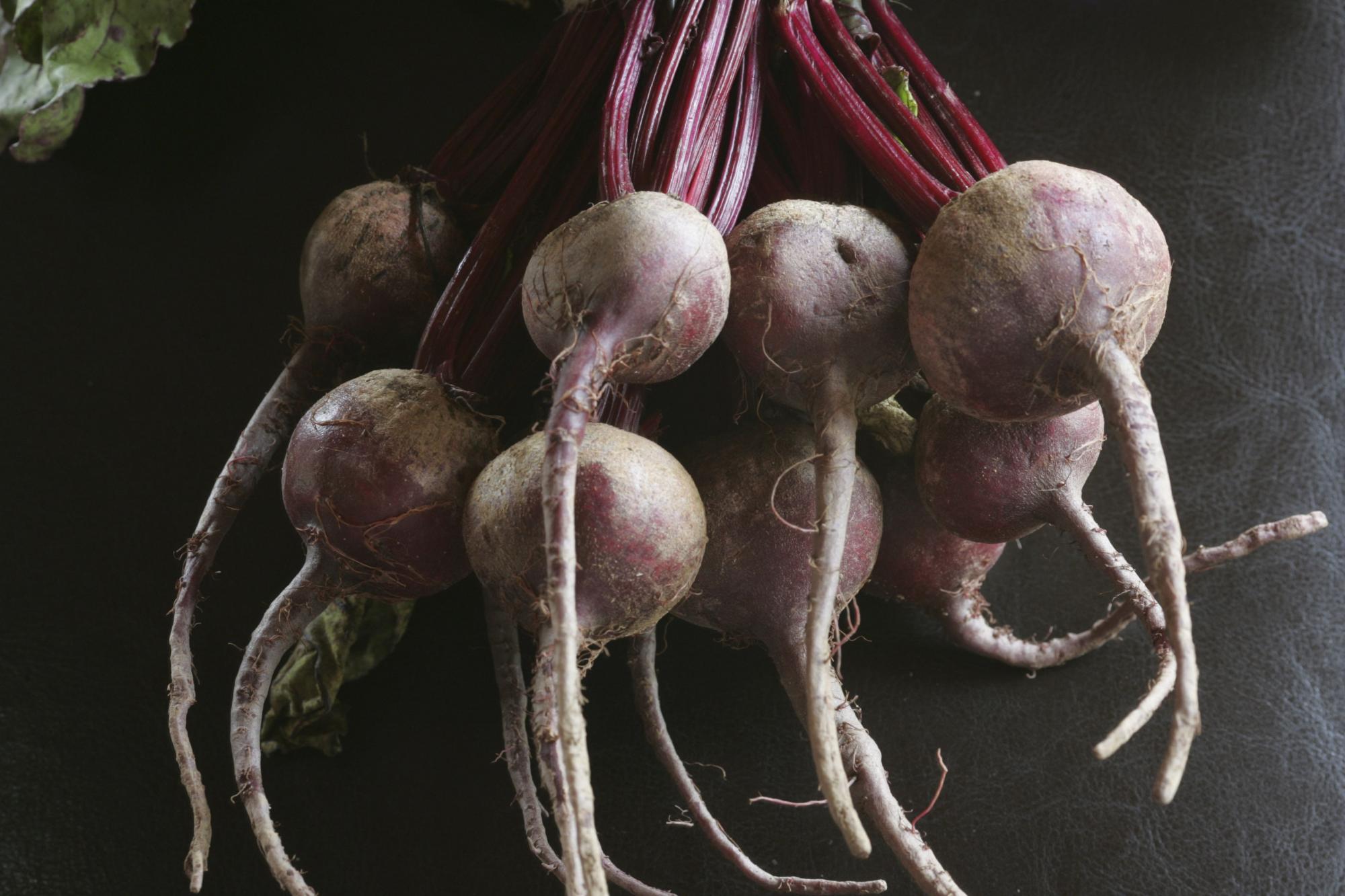 Beet Carpaccio Salad, Goat Cheese, Horseradish Vinaigrette Valley Table