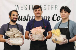 Westchester Mushroom Company