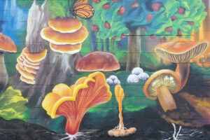 Catskill fungi mural