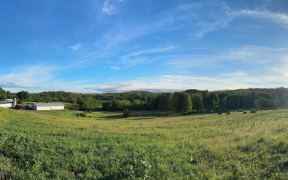 The view at Northaven Pastures in Red Hook
