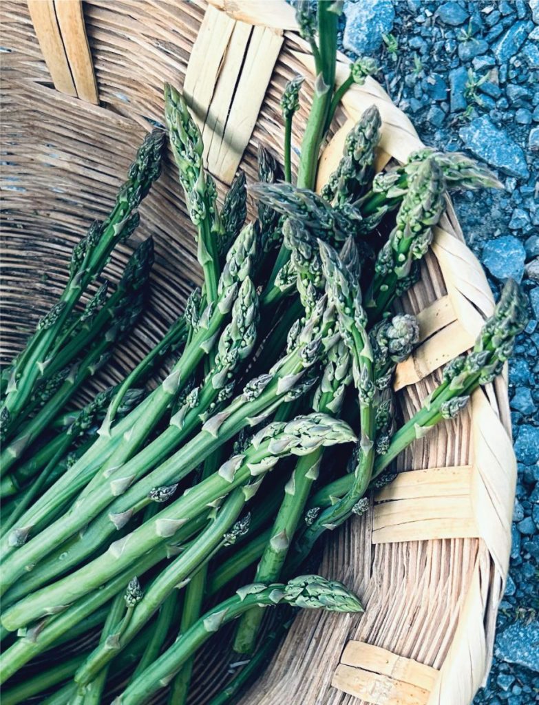 asparagus