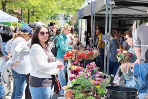 troy waterfront farmers market