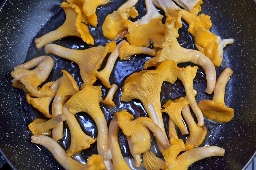 Tivoli Mushrooms