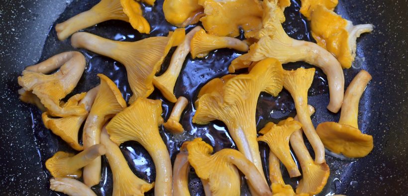 Tivoli Mushrooms